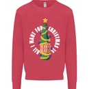 All I Want for Christmas Is Beer Kids Sweatshirt Jumper Heliconia