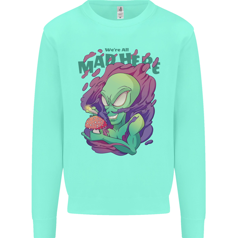 All Mad Here Alien Magic Mushrooms Kids Sweatshirt Jumper Peppermint