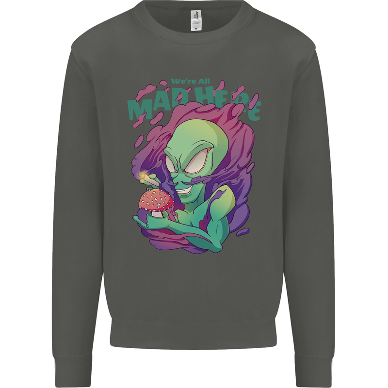 All Mad Here Alien Magic Mushrooms Kids Sweatshirt Jumper Storm Grey
