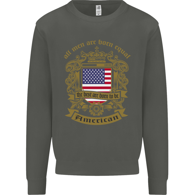 All Men Are Born Equal American America USA Kids Sweatshirt Jumper Storm Grey
