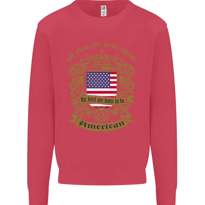 All Men Are Born Equal American America USA Mens Sweatshirt Jumper Heliconia