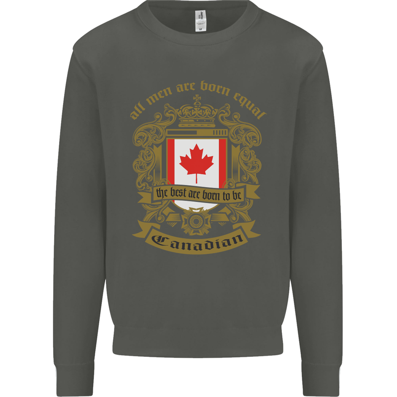 All Men Are Born Equal Canadian Canada Kids Sweatshirt Jumper Storm Grey