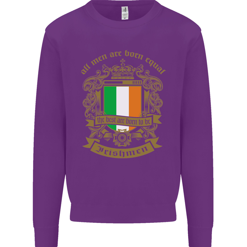 All Men Are Born Equal Irish Ireland Kids Sweatshirt Jumper Purple