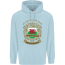 All Men Are Born Equal Welshmen Wales Welsh Childrens Kids Hoodie Light Blue