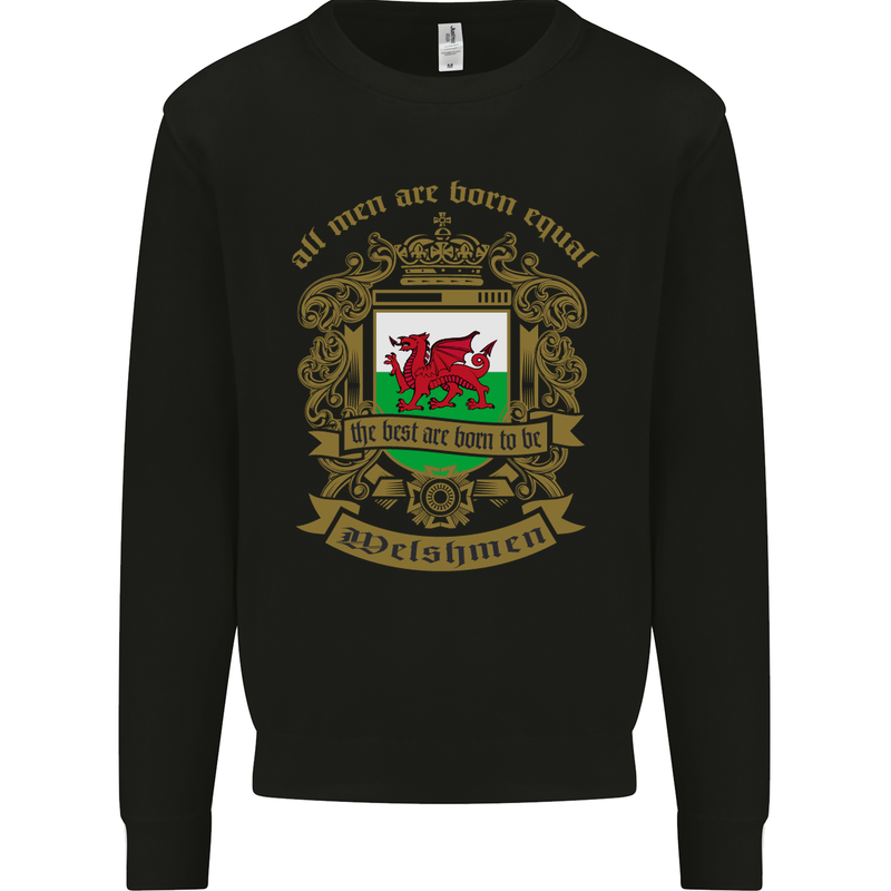All Men Are Born Equal Welshmen Wales Welsh Kids Sweatshirt Jumper Black