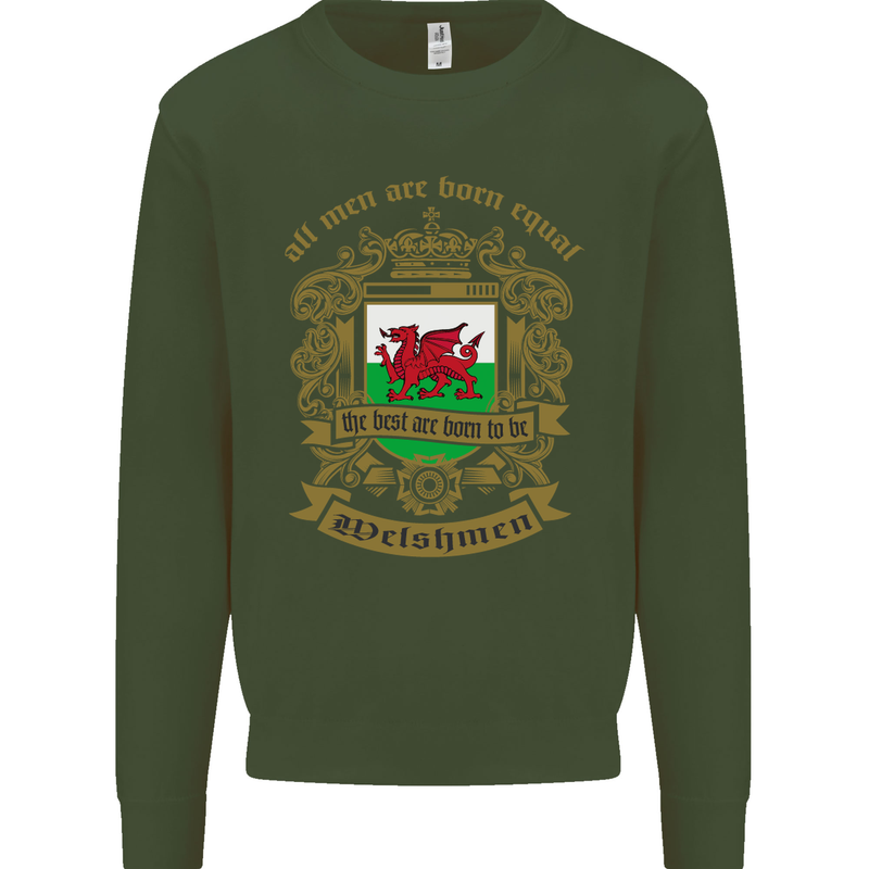 All Men Are Born Equal Welshmen Wales Welsh Kids Sweatshirt Jumper Forest Green