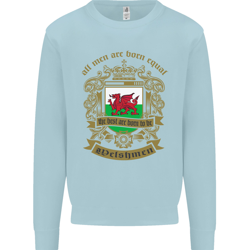 All Men Are Born Equal Welshmen Wales Welsh Kids Sweatshirt Jumper Light Blue