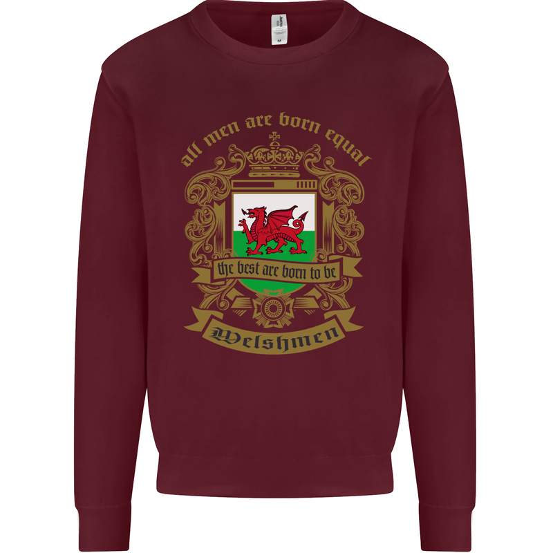 All Men Are Born Equal Welshmen Wales Welsh Kids Sweatshirt Jumper Maroon