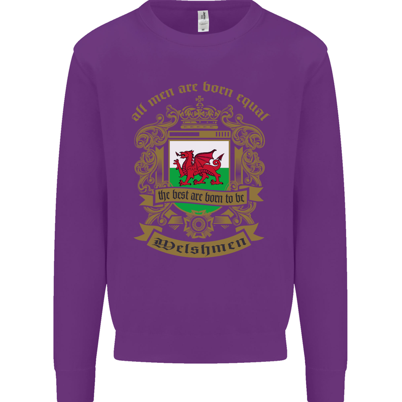 All Men Are Born Equal Welshmen Wales Welsh Kids Sweatshirt Jumper Purple