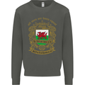 All Men Are Born Equal Welshmen Wales Welsh Kids Sweatshirt Jumper Storm Grey