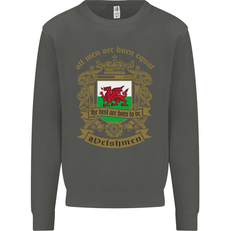 All Men Are Born Equal Welshmen Wales Welsh Kids Sweatshirt Jumper Storm Grey