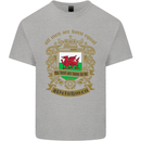 All Men Are Born Equal Welshmen Wales Welsh Kids T-Shirt Childrens Sports Grey