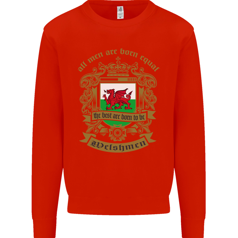 All Men Are Born Equal Welshmen Wales Welsh Mens Sweatshirt Jumper Bright Red