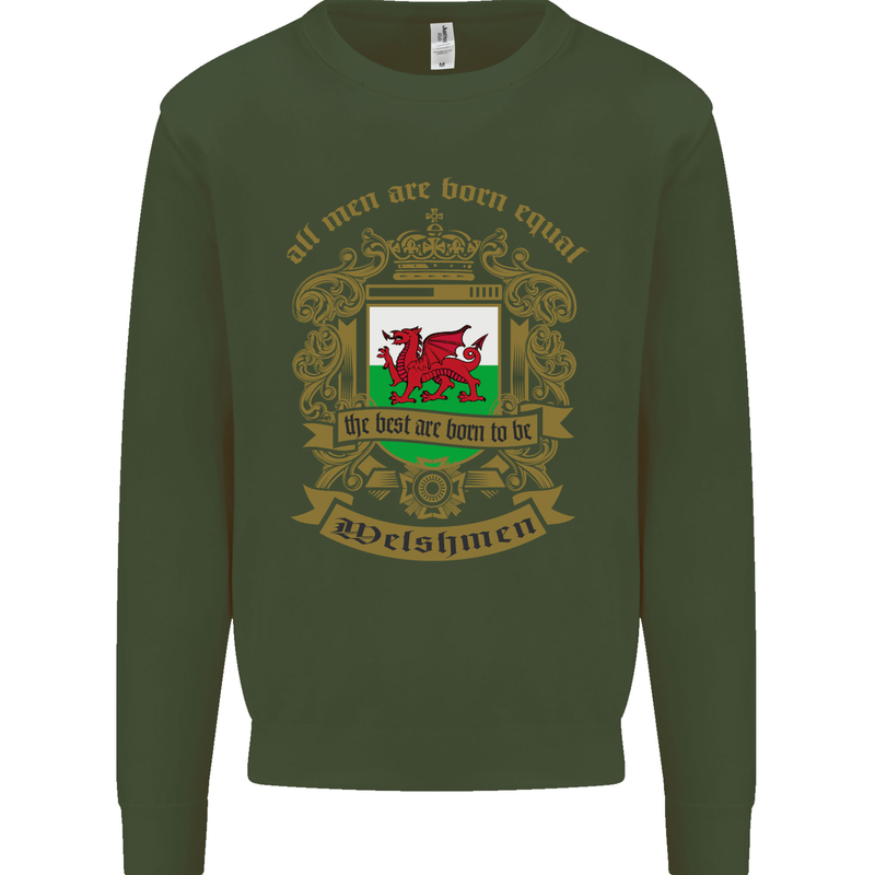 All Men Are Born Equal Welshmen Wales Welsh Mens Sweatshirt Jumper Forest Green