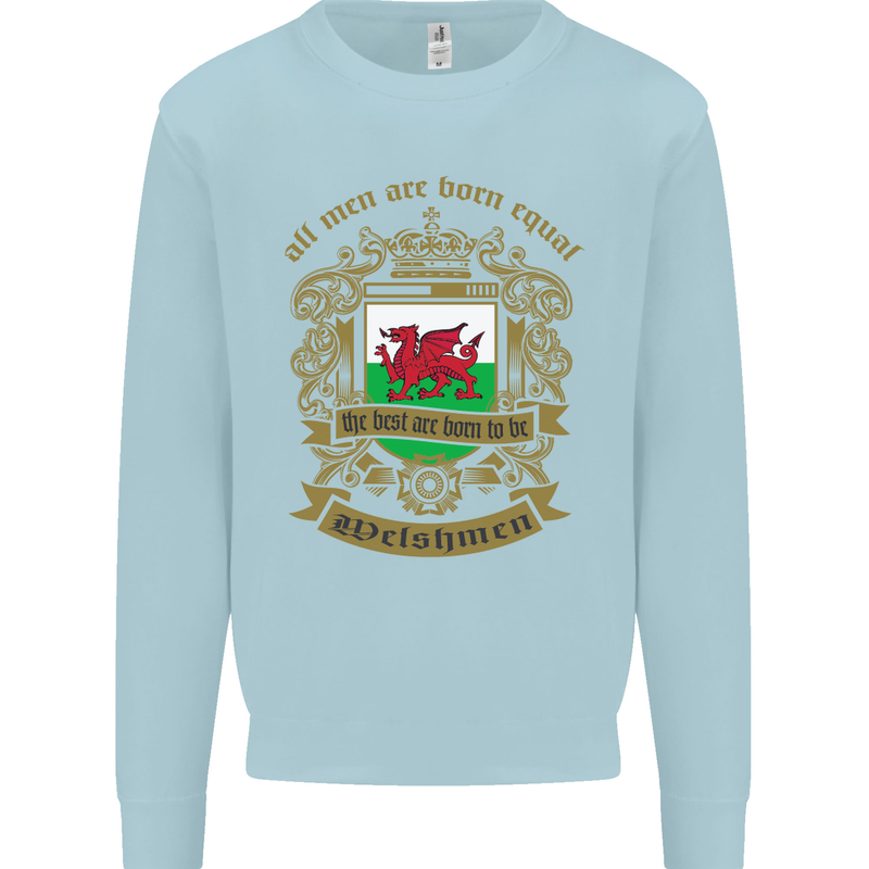 All Men Are Born Equal Welshmen Wales Welsh Mens Sweatshirt Jumper Light Blue