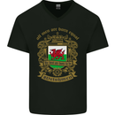 All Men Are Born Equal Welshmen Wales Welsh Mens V-Neck Cotton T-Shirt Black