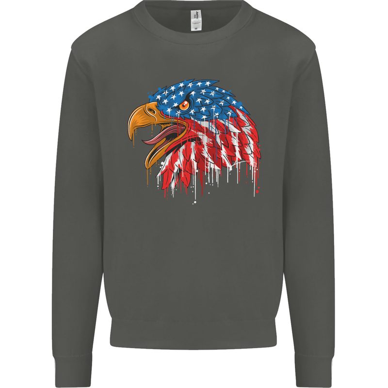 American Eagle USA Flag July 4th Kids Sweatshirt Jumper Storm Grey