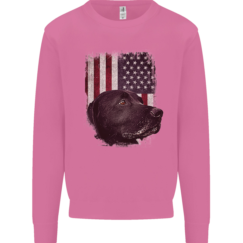 American Labrador USA Flag Dog Mens Sweatshirt Jumper Azalea