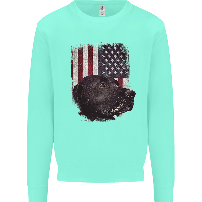 American Labrador USA Flag Dog Mens Sweatshirt Jumper Peppermint