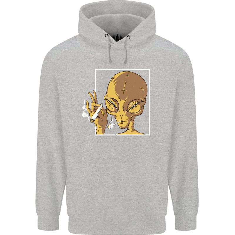An Alien Smoking Weed Childrens Kids Hoodie Sports Grey