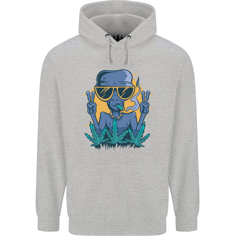An Alien Smoking Weed Funny Drug Culture Mens 80% Cotton Hoodie Sports Grey
