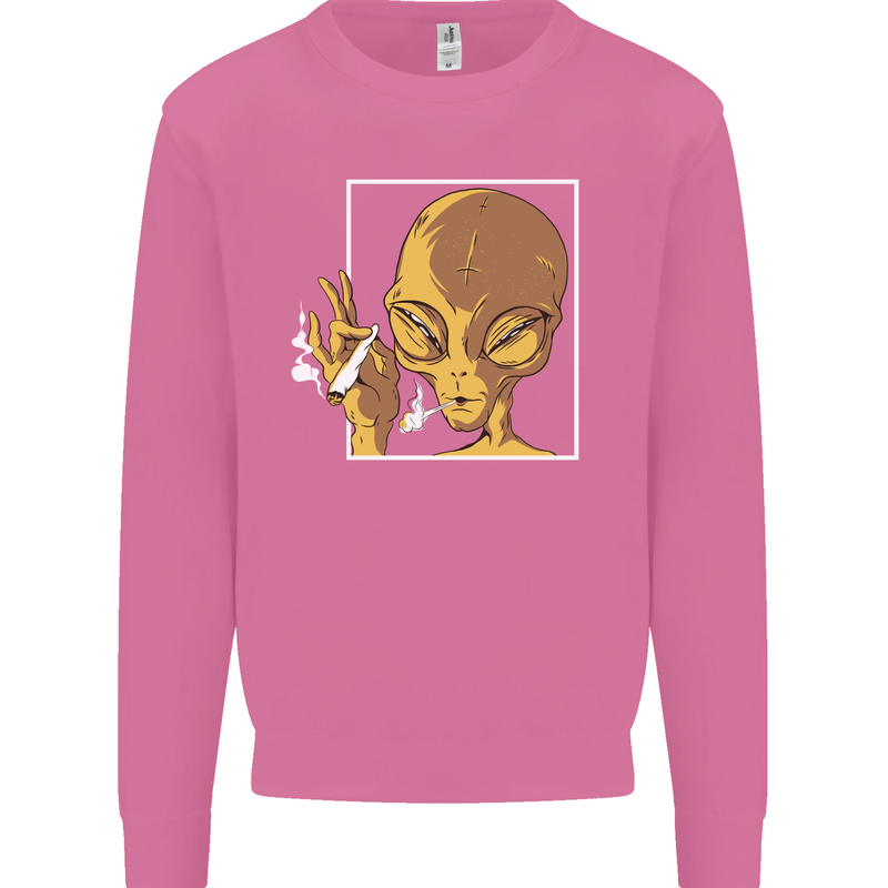 An Alien Smoking Weed Mens Sweatshirt Jumper Azalea