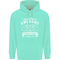 An Awesome Doctor Looks Like GP Funny Childrens Kids Hoodie Peppermint
