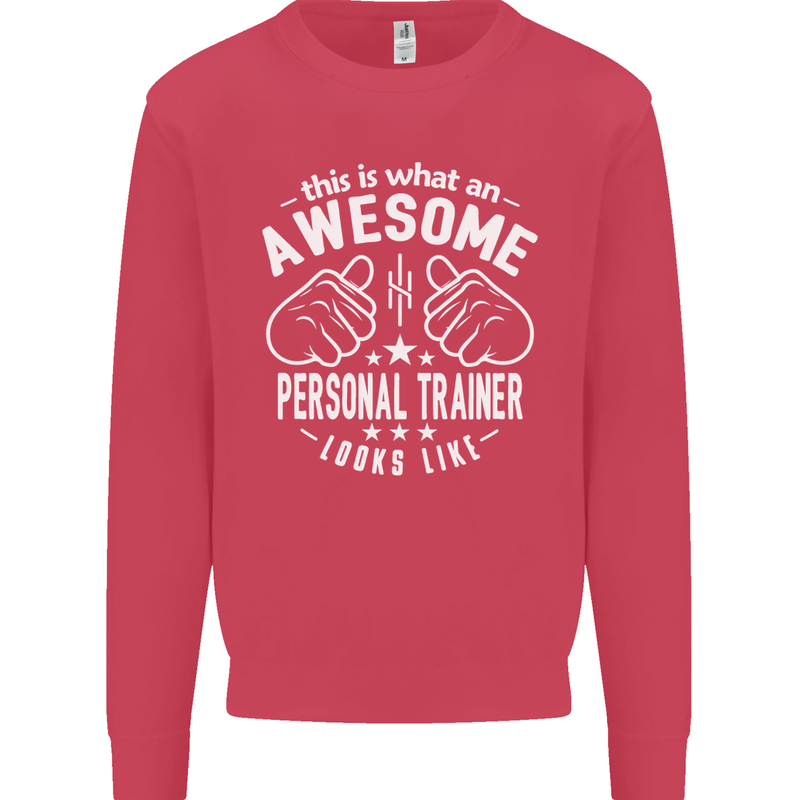 An Awesome Personal Trainer Looks Like Mens Sweatshirt Jumper Heliconia