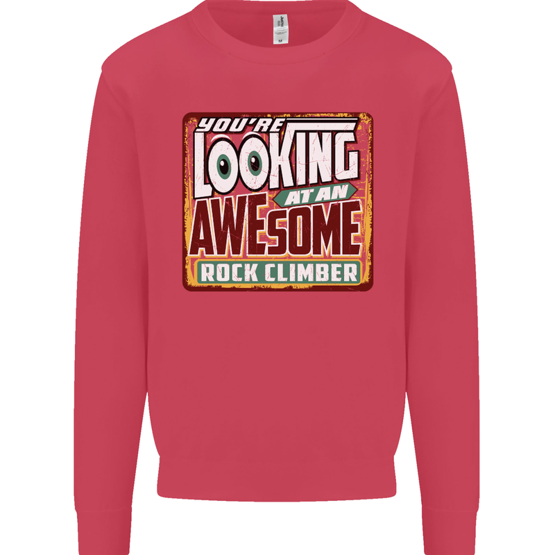 An Awesome Rock Climber Kids Sweatshirt Jumper Heliconia