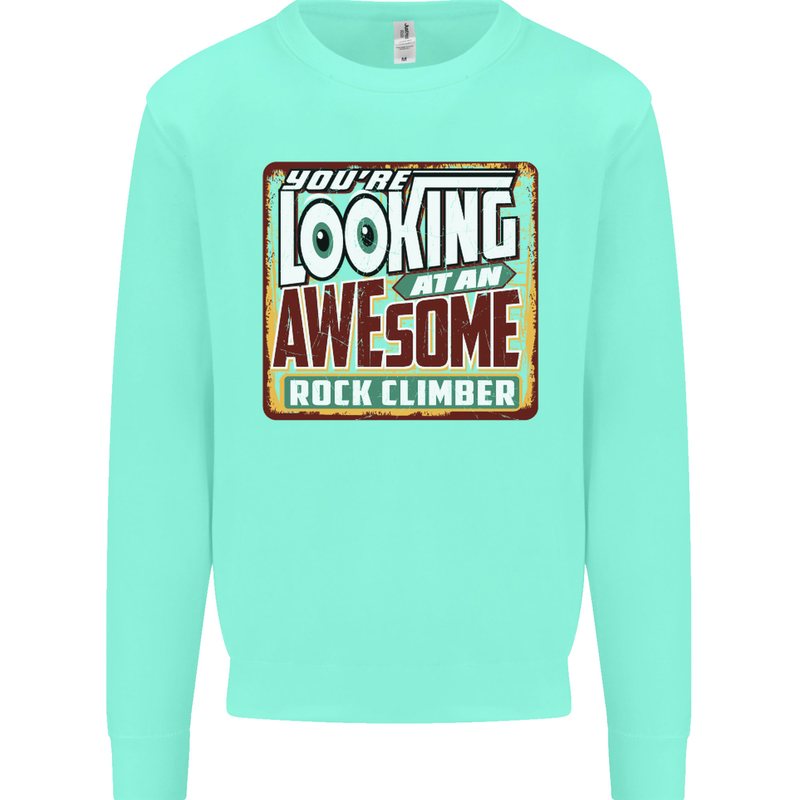 An Awesome Rock Climber Kids Sweatshirt Jumper Peppermint