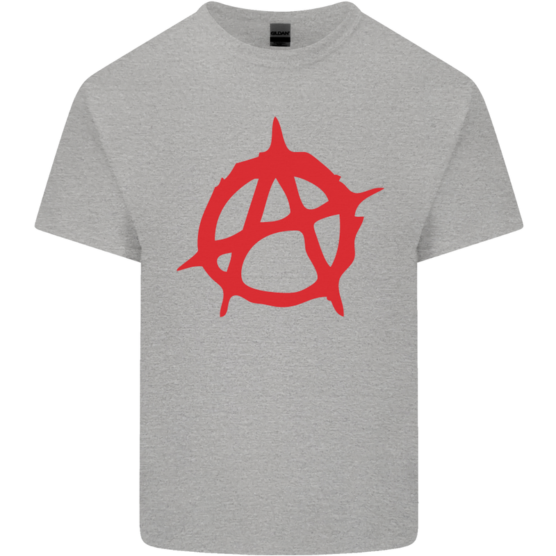 Anarchist Anarchism Logo Symbol Activist Mens Cotton T-Shirt Tee Top Sports Grey