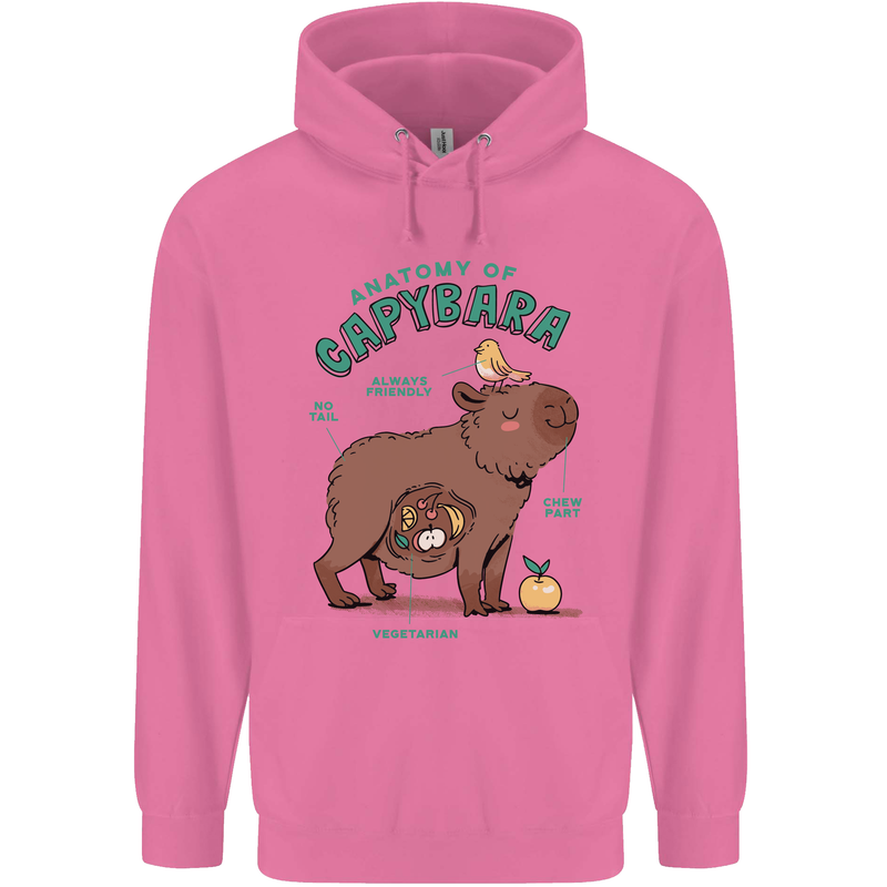 Anatomy of a Apybara Funny Childrens Kids Hoodie Azalea