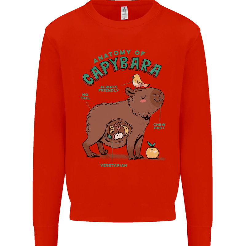 Anatomy of a Apybara Funny Kids Sweatshirt Jumper Bright Red