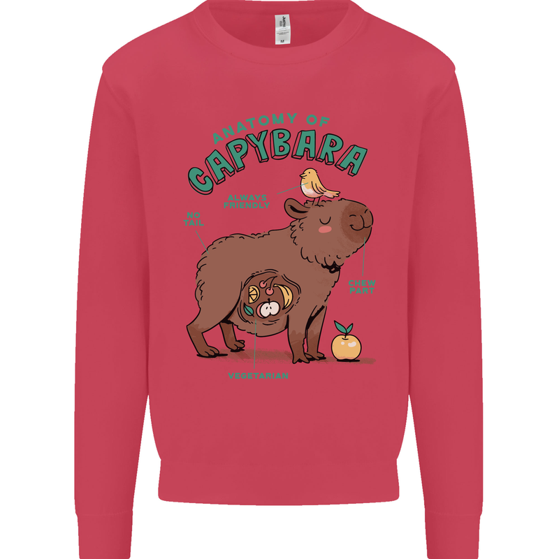 Anatomy of a Apybara Funny Kids Sweatshirt Jumper Heliconia