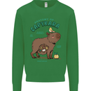 Anatomy of a Apybara Funny Kids Sweatshirt Jumper Irish Green