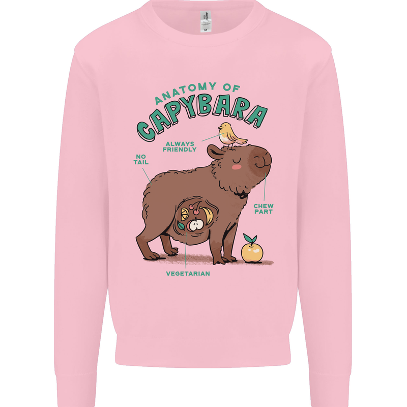 Anatomy of a Apybara Funny Kids Sweatshirt Jumper Light Pink