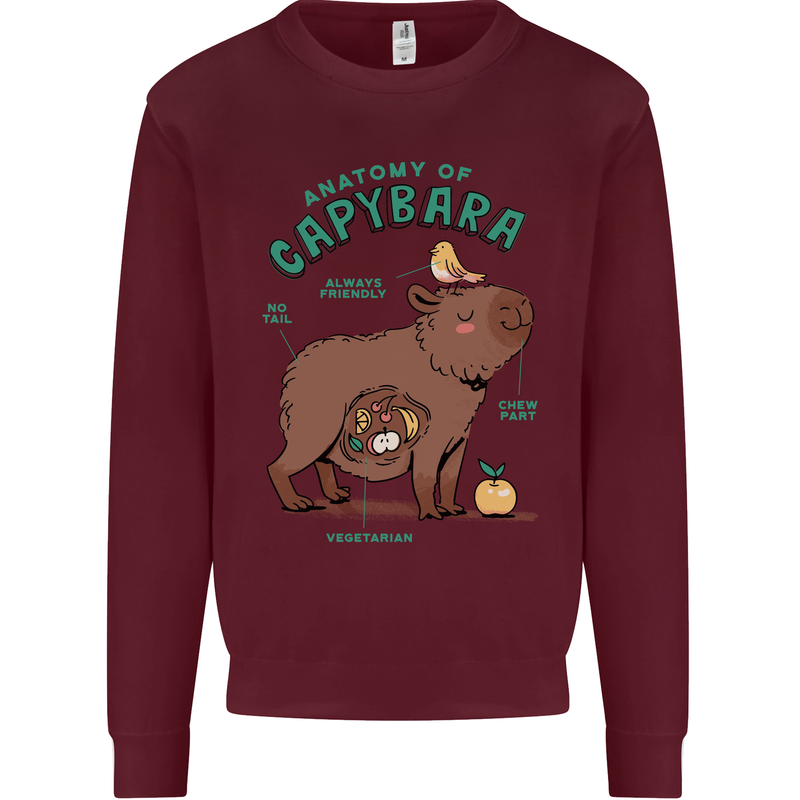 Anatomy of a Apybara Funny Kids Sweatshirt Jumper Maroon
