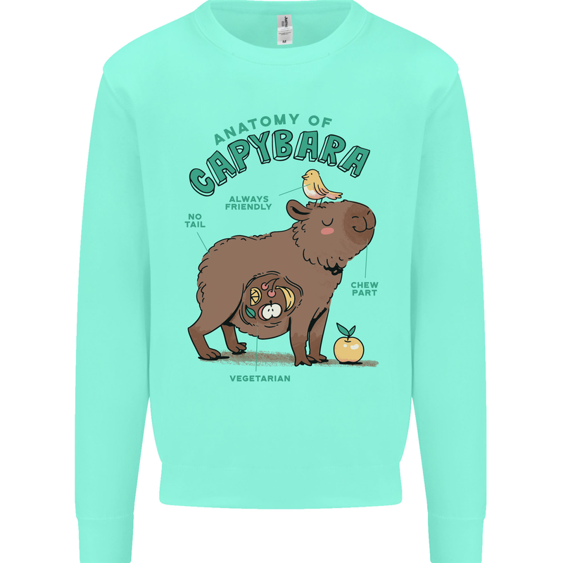 Anatomy of a Apybara Funny Kids Sweatshirt Jumper Peppermint