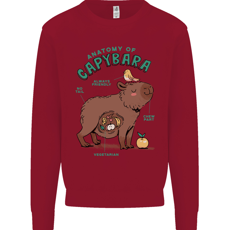 Anatomy of a Apybara Funny Kids Sweatshirt Jumper Red