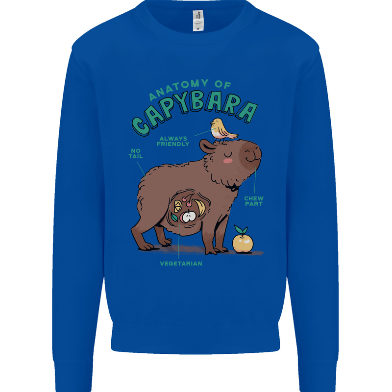 Anatomy of a Apybara Funny Kids Sweatshirt Jumper Royal Blue