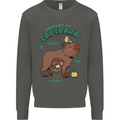 Anatomy of a Apybara Funny Kids Sweatshirt Jumper Storm Grey