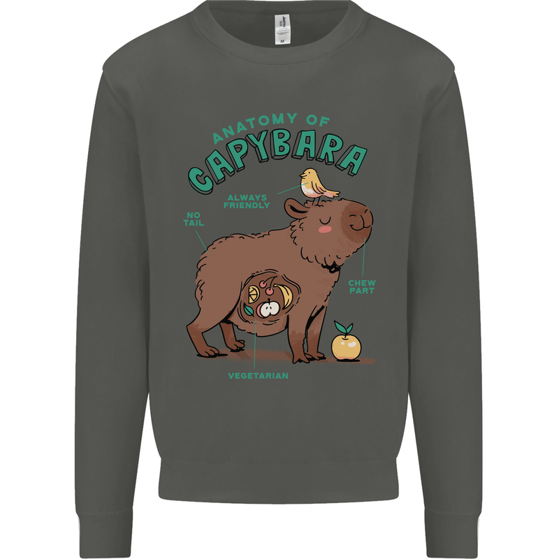 Anatomy of a Apybara Funny Kids Sweatshirt Jumper Storm Grey