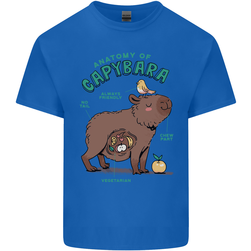 Anatomy of a Apybara Funny Mens Cotton T-Shirt Tee Top Royal Blue