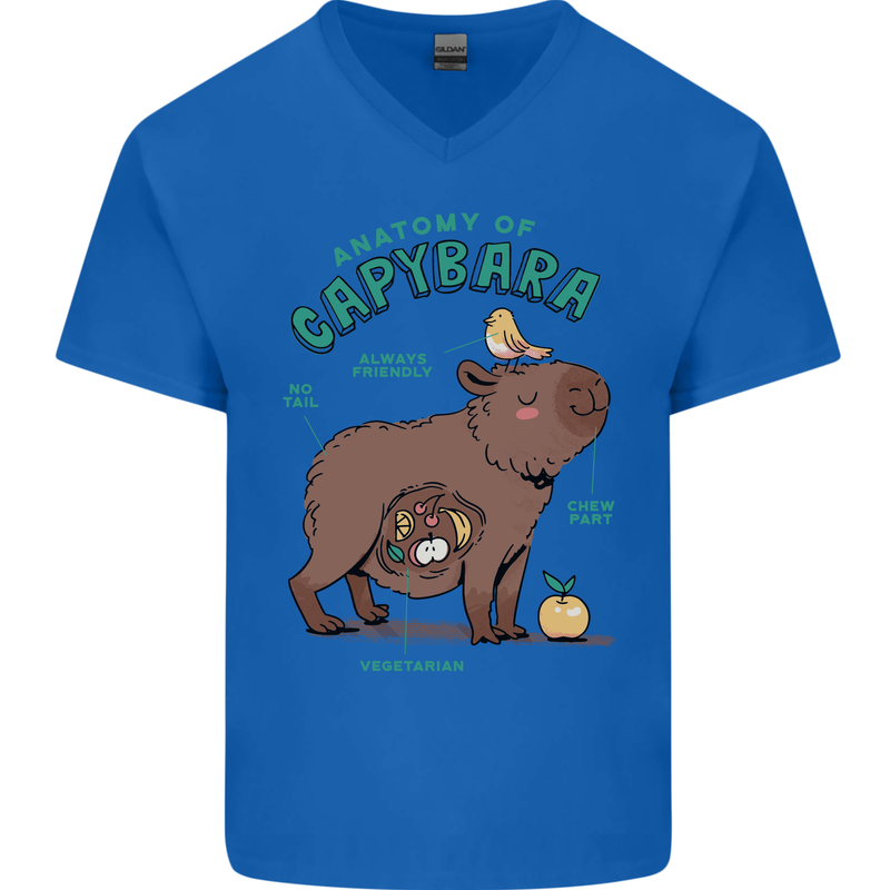 Anatomy of a Apybara Funny Mens V-Neck Cotton T-Shirt Royal Blue