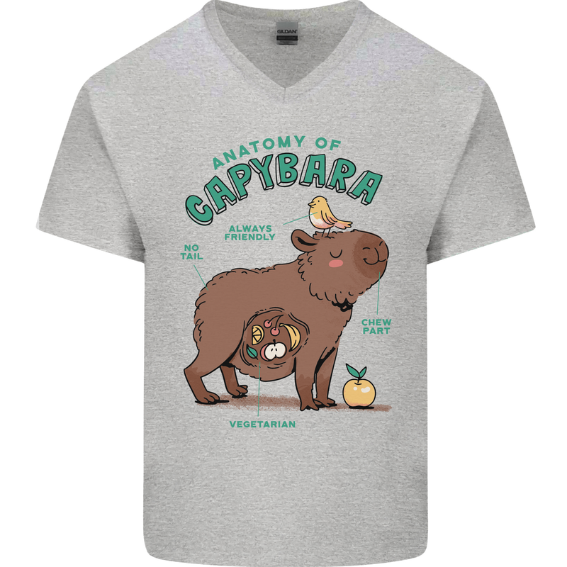 Anatomy of a Apybara Funny Mens V-Neck Cotton T-Shirt Sports Grey