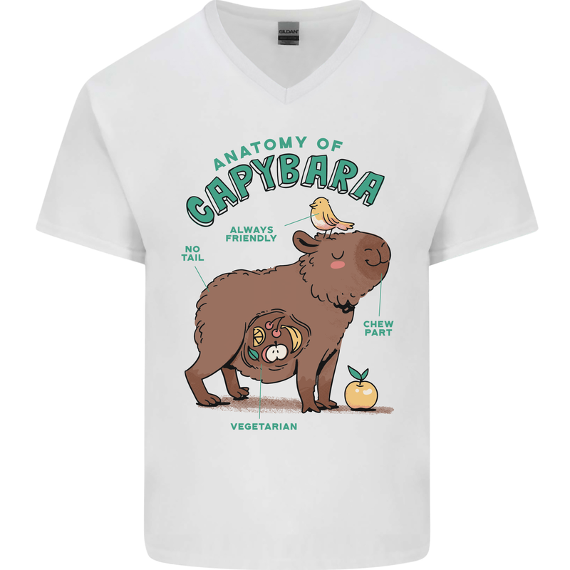 Anatomy of a Apybara Funny Mens V-Neck Cotton T-Shirt White
