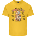 Anatomy of a Badger Funny Mens Cotton T-Shirt Tee Top Yellow