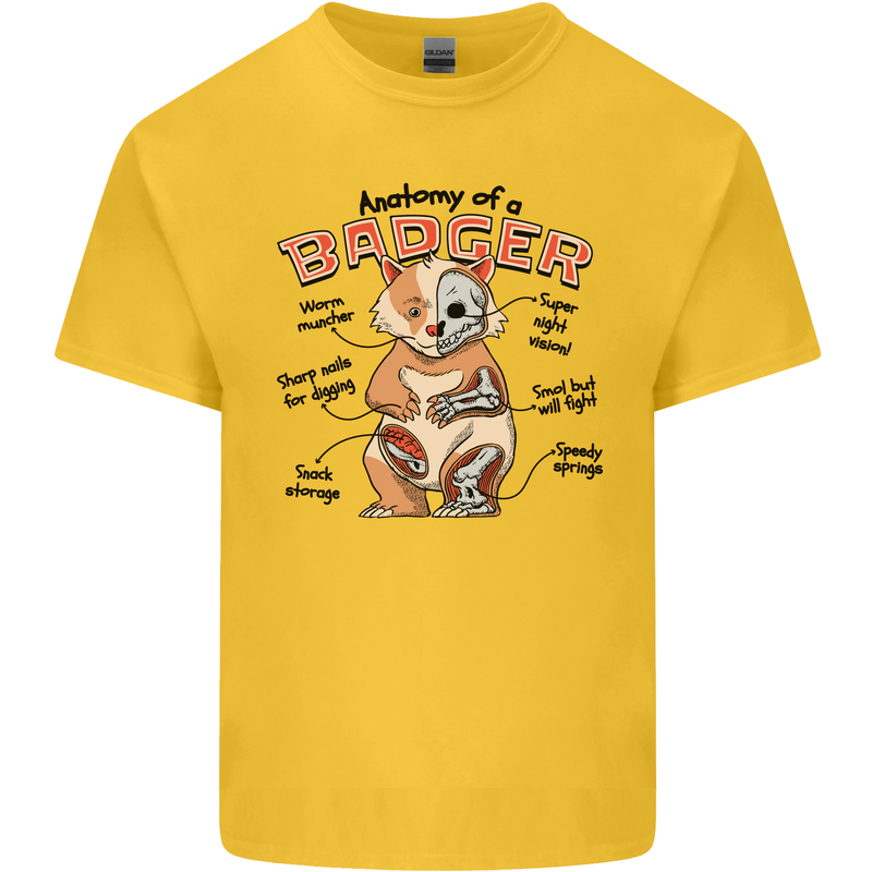 Anatomy of a Badger Funny Mens Cotton T-Shirt Tee Top Yellow