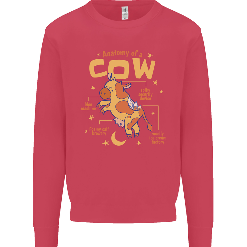 Anatomy of a Cow Funny Kids Sweatshirt Jumper Heliconia