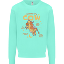 Anatomy of a Cow Funny Kids Sweatshirt Jumper Peppermint